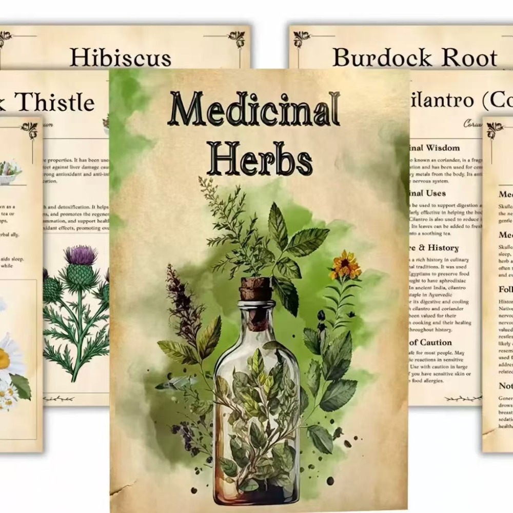 Medicinal Herbs: Visual Guide  - Herbal Wellness Guide 评论和价格