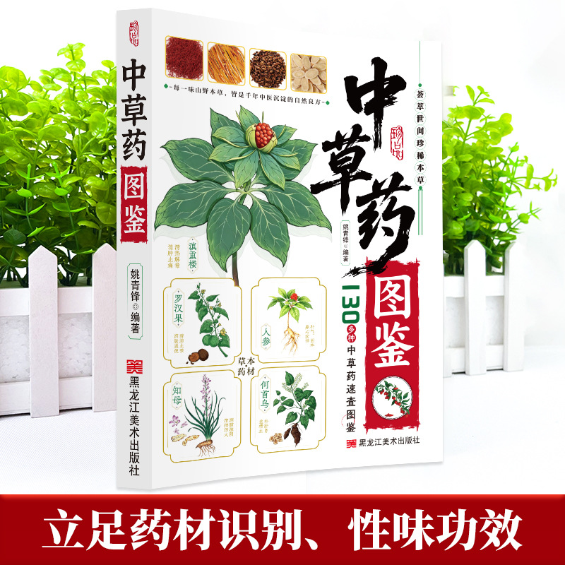 Illustrated Guide  Chinese Her - Herbal Wellness Guide 评论和价格