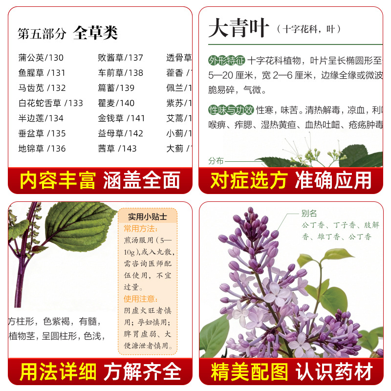 Illustrated Guide  Chinese Her - Herbal Wellness Guide 评论和价格